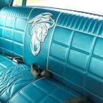 100_3176