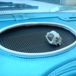 DSCN0658