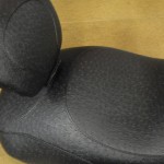 DSCN1164 DSCN1164