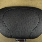 DSCN1166 DSCN1166