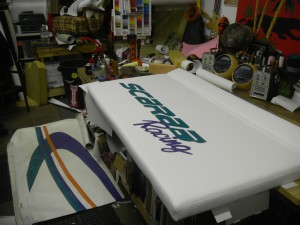DSCN3400